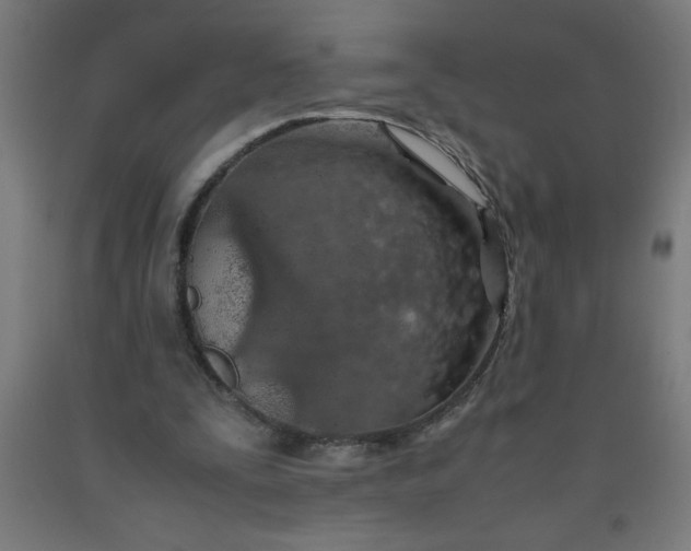 X0000090620295200707311250