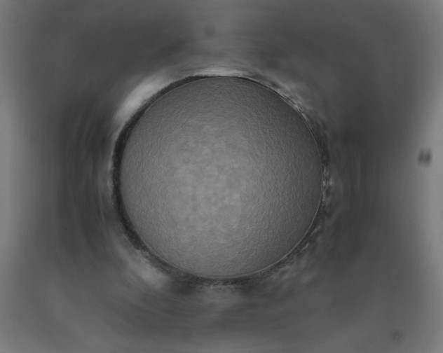 X0000090620296200707311250