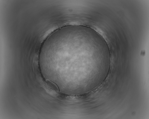 X0000090620297200707311249