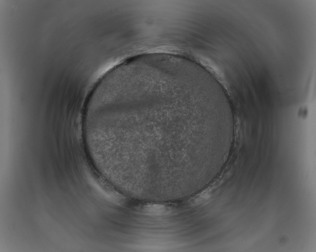 X0000090620298200707311249