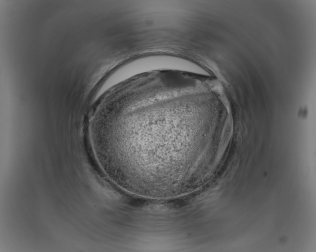 X0000090620299200707311249