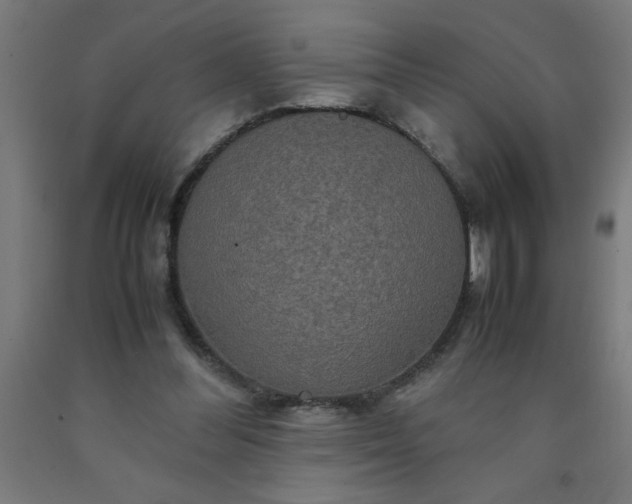 X0000090620300200707311249