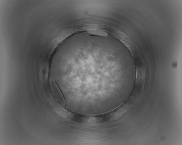 X0000090620301200707311249