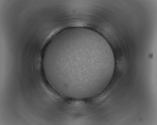 X0000090620304200707311249