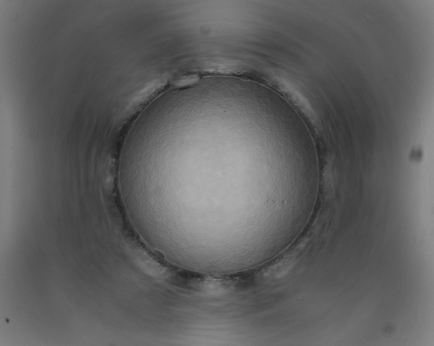 X0000090620305200707311249