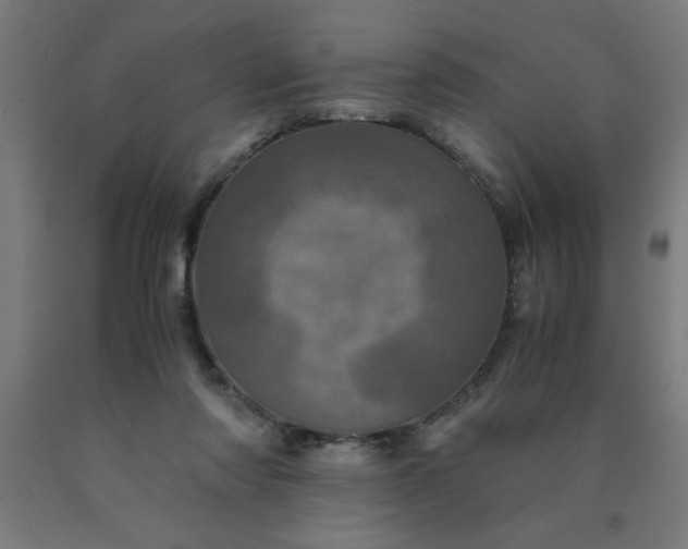 X0000090620310200707311249