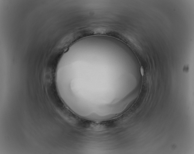 X0000090620311200707311249