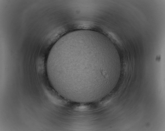 X0000090620312200707311249