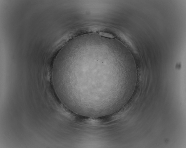 X0000090620313200707311249