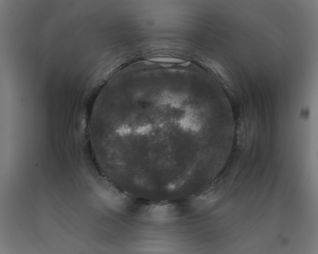 X0000090620314200707311249