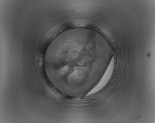 X0000090620315200707311249