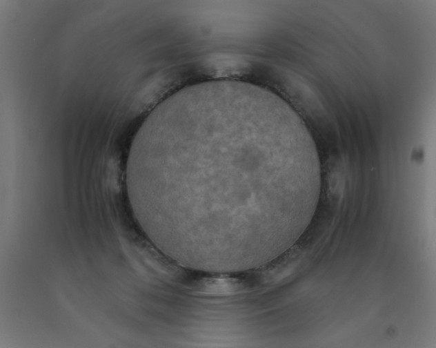 X0000090620316200707311249