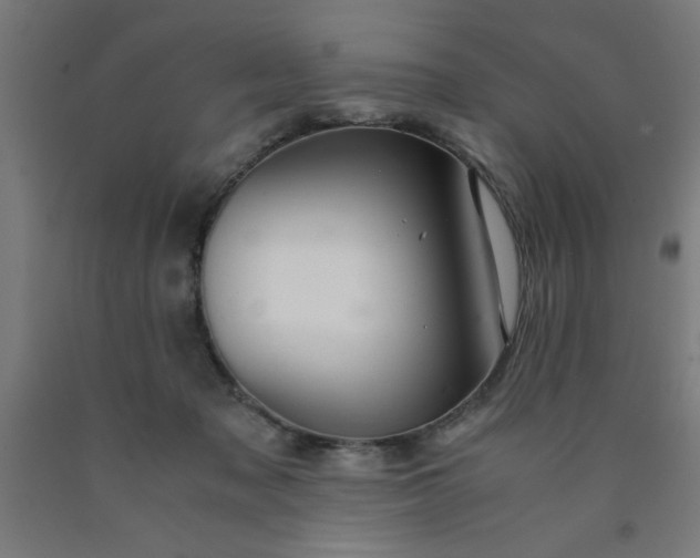 X0000090620317200707311249