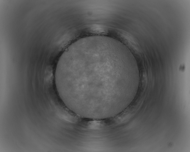 X0000090620320200707311249