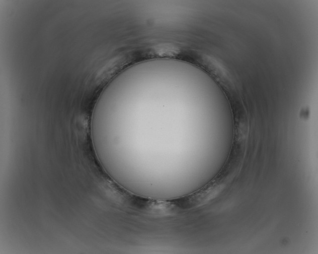 X0000090620321200707311249