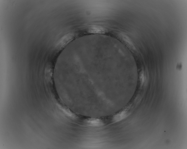 X0000090620322200707311249