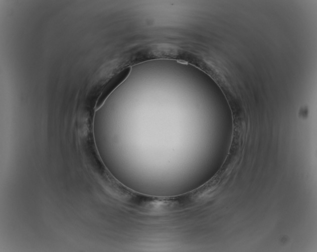 X0000090620323200707311249