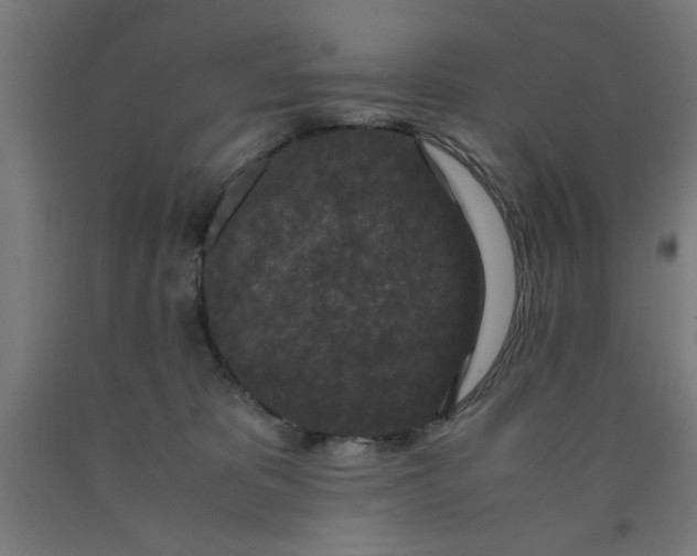 X0000090620325200707311249