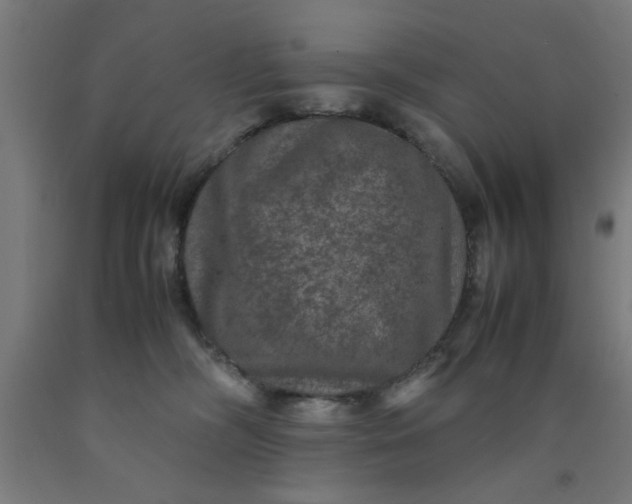 X0000090620326200707311249