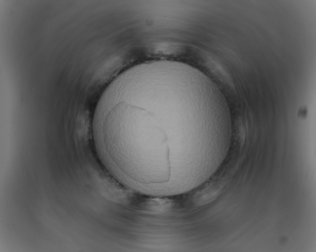 X0000090620328200707311249