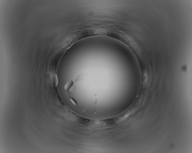 X0000090620329200707311249