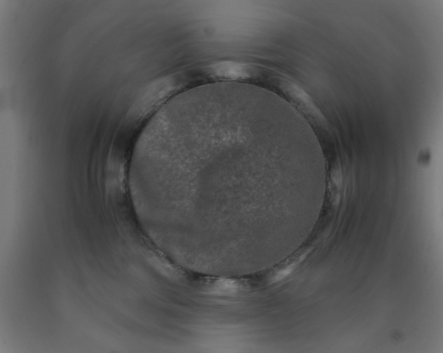 X0000090620330200707311249