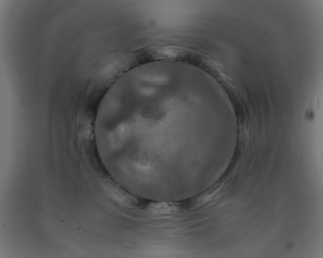 X0000090620331200707311249