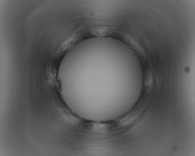 X0000090620332200707311249