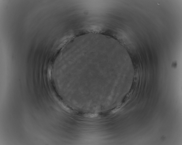 X0000090620334200707311249