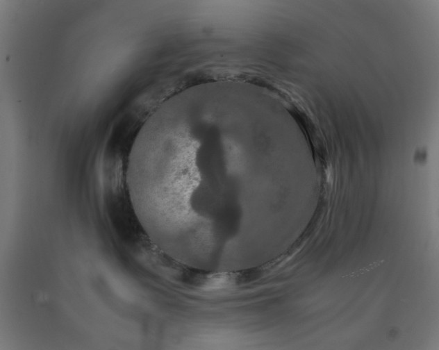 X0000090620335200707311249