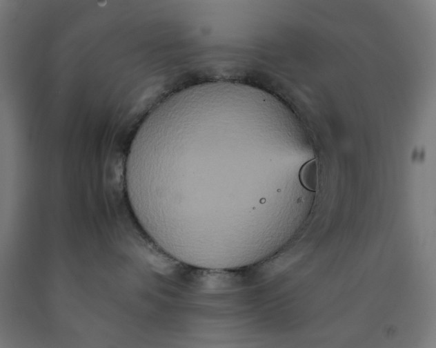 X0000090620336200707311249