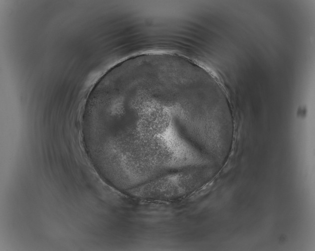 X0000090620337200707311248