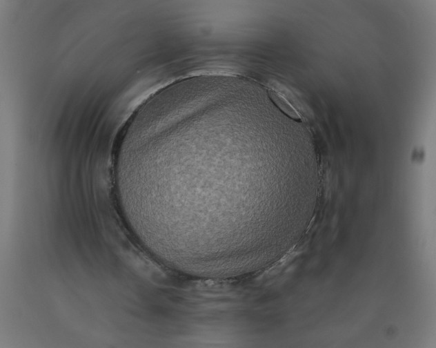 X0000090620338200707311248