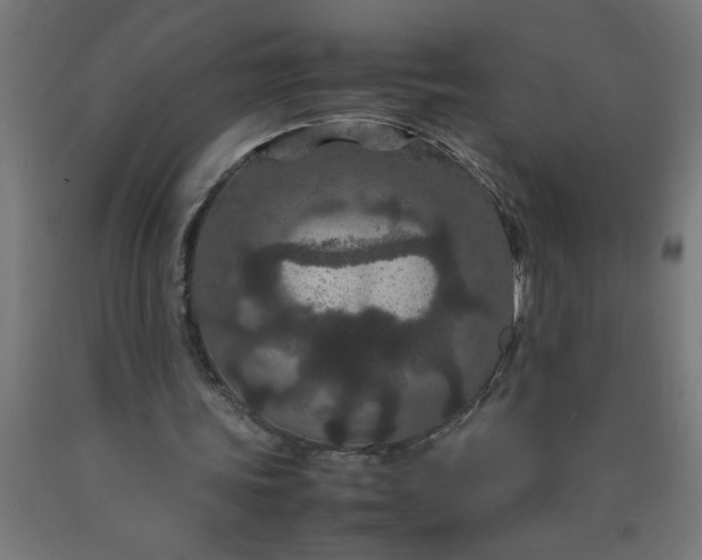 X0000090620339200707311248