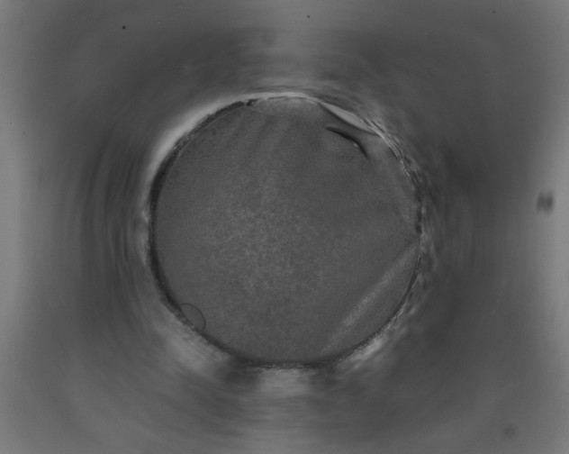 X0000090620342200707311248