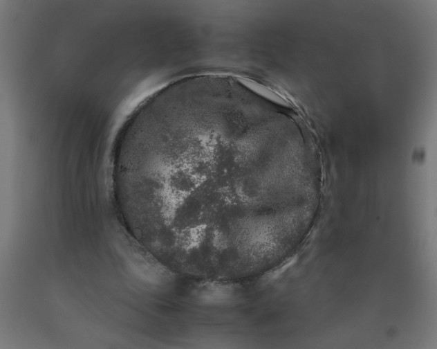 X0000090620343200707311248