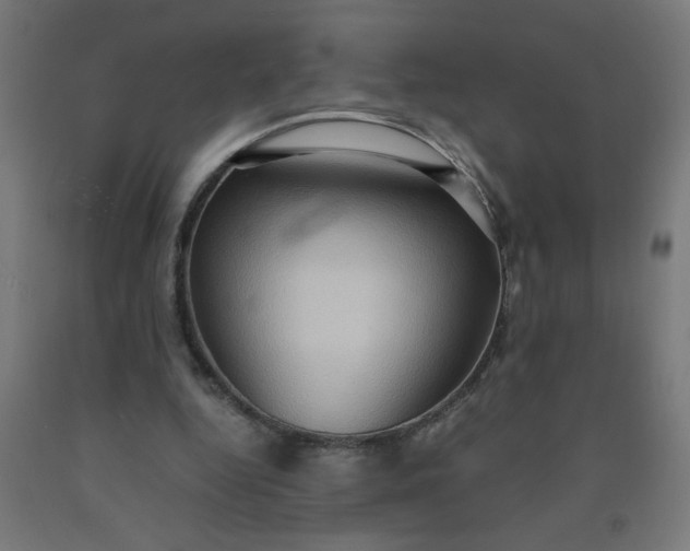 X0000090620344200707311248