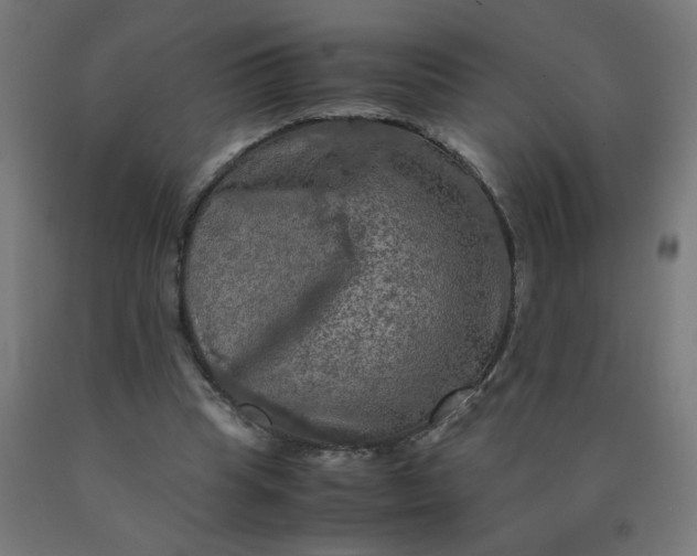 X0000090620345200707311249