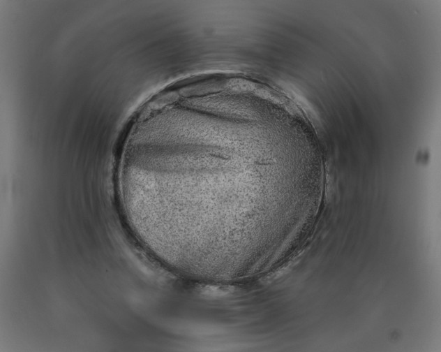 X0000090620346200707311249