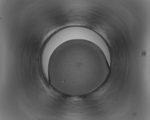 X0000090620348200707311249