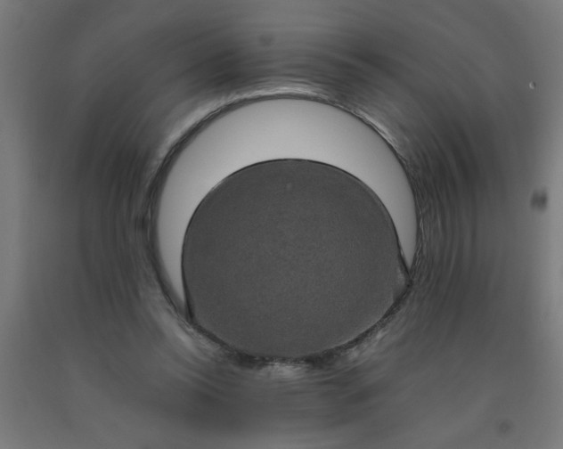 X0000090620350200707311249