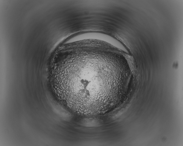 X0000090620351200707311249