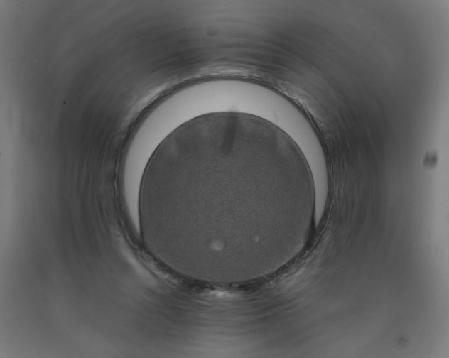 X0000090620352200707311249