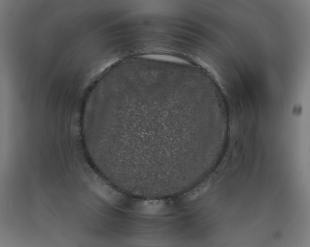 X0000090620353200707311249