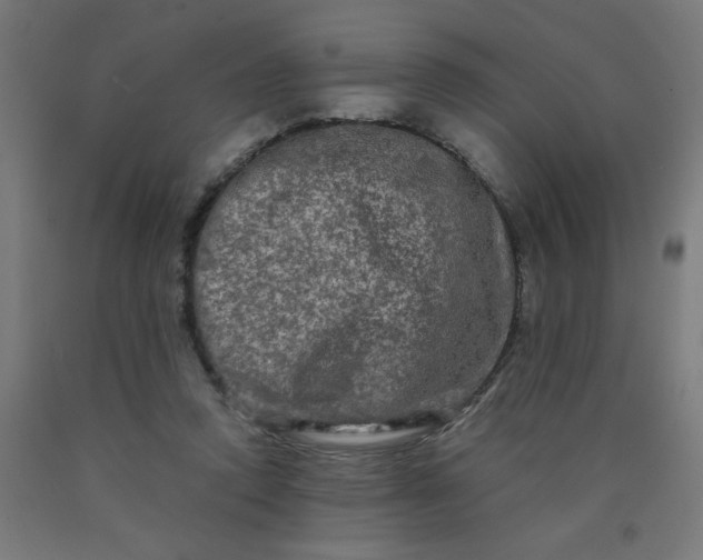 X0000090620354200707311249