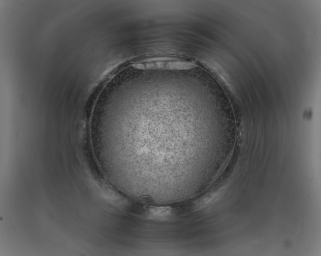 X0000090620355200707311249