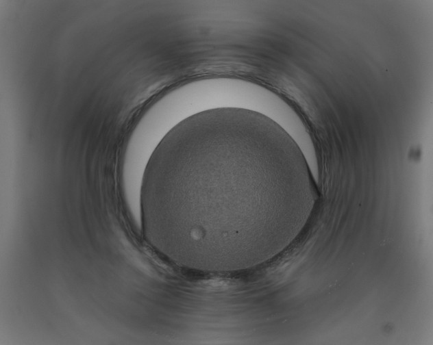 X0000090620356200707311249