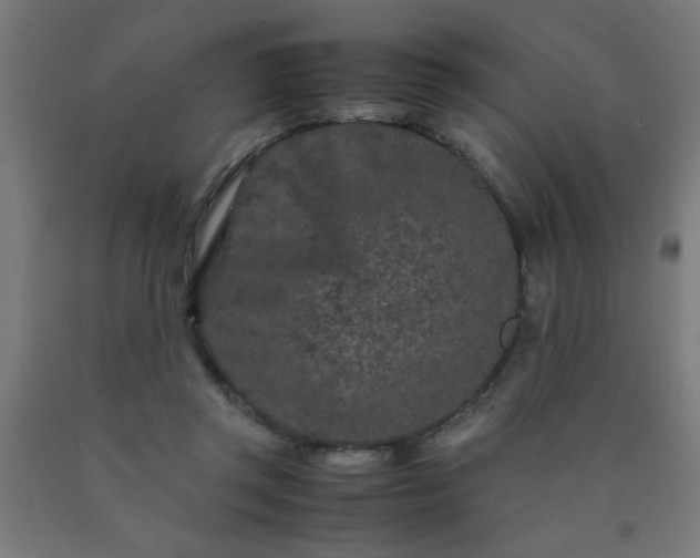 X0000090620357200707311249