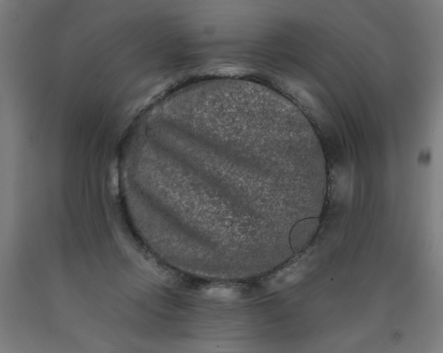 X0000090620358200707311249