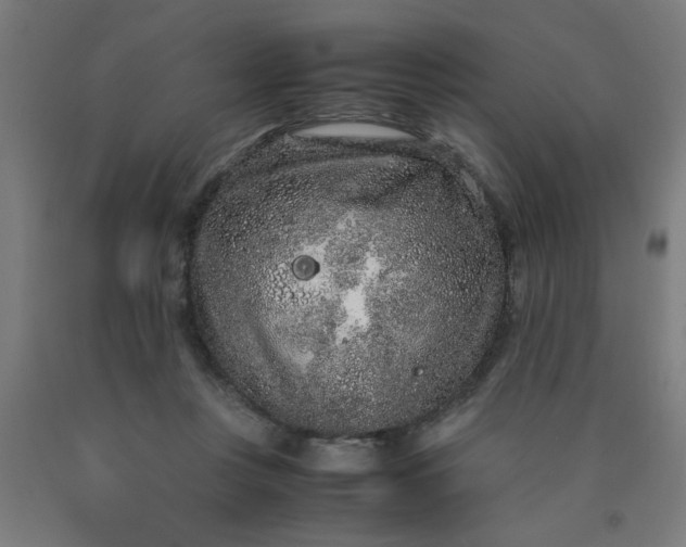 X0000090620359200707311249